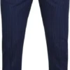 Pantalons Suitable Pantalon Pisa Strepen Navy