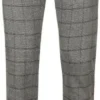 Chino Broeken Suitable Chino Locke Ruit Grijs