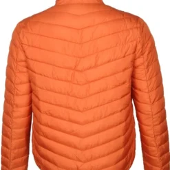 Tussenjassen Suitable Jas Toni Oranje -Sport Jas Verkoopwinkel 69213 5