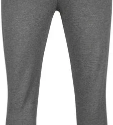 Lyle And Scott Joggingbroeken Lyle & Scott Joggingbroek Grijs -Sport Jas Verkoopwinkel 73511 4
