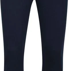 Joggingbroeken Lacoste Joggingbroek Navy Donkerblauw