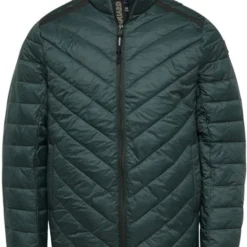 Winterjas Voor Heren Vanguard Densylon Jas Donkergroen